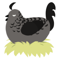 A grey and sable chicken with a half-lace pattern