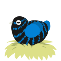 A sable and sapphire chicken with a bar pattern