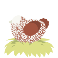 A white and russet chicken with a double-lace pattern