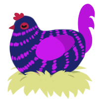 Aster, a navy and amethyst chicken with a bar pattern