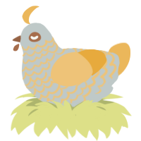 A silver and honey chicken with a lace pattern