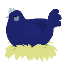 A navy chicken with a half-lace pattern