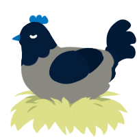 A ash and tumblr chicken with a head pattern