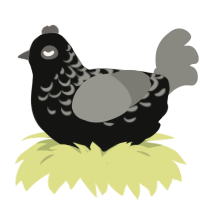 A black and ash chicken with a half-lace pattern