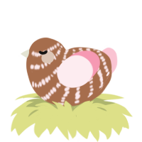 A brown and rose chicken with a bar pattern