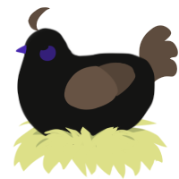 A black and bark chicken