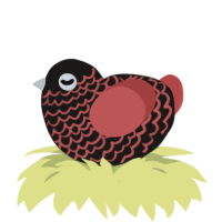 A sable and red chicken with a lace pattern