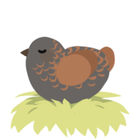A grey and brown chicken with a half-lace pattern