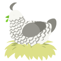 A white and ash chicken with a lace pattern
