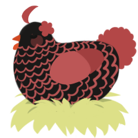 A sable and red chicken with a lace pattern