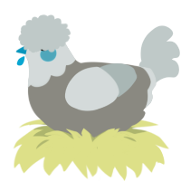 A ash and silver chicken with a head pattern
