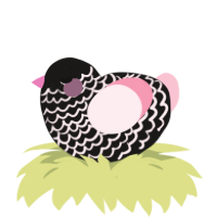 A sable and rose chicken with a lace pattern