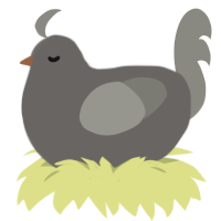 A grey and ash chicken
