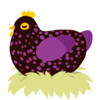 A black and indigo chicken with a speckle pattern