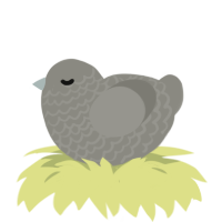 A ash chicken with a lace pattern