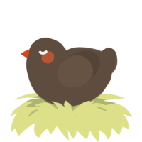 A bark chicken