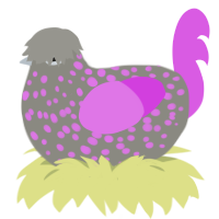 A ash and orchid chicken with a speckle pattern