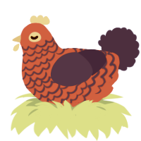 A crimson and navy chicken with a lace pattern