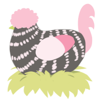 A grey and rose chicken with a bar pattern