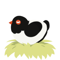 A white and black chicken with a head pattern