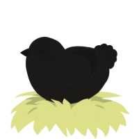 A sable chicken with a lace pattern