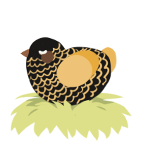 A sable and honey chicken with a lace pattern