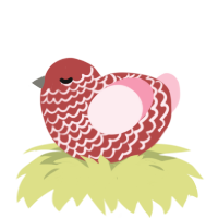 A red and rose chicken with a lace pattern