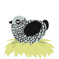 A silver and black chicken with a lace pattern
