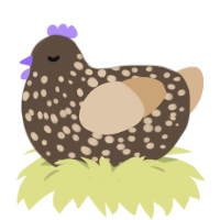 A bark and beige chicken with a speckle pattern