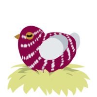 A maroon and mist chicken with a bar pattern