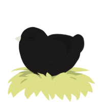 A sable chicken with a lace pattern