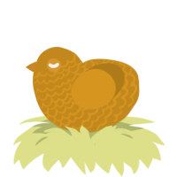 A ochre chicken with a lace pattern