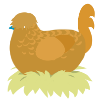 A gold and orange chicken with a half-lace pattern