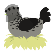 Ophelia, a ash and sable chicken with a half-lace pattern