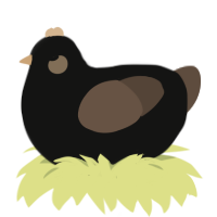 dachshund, a black and bark chicken
