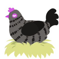 left of way, a grey and sable chicken with a bar pattern