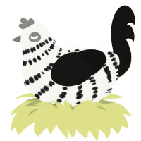 right of way, a white and black chicken with a bar pattern