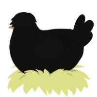 DARKNESS, a black chicken with a speckle pattern