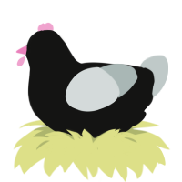 A black and silver chicken