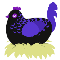 (unnamed), a black and indigo chicken with a half-lace pattern