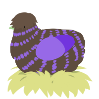 A bark and blurple chicken with a bar pattern