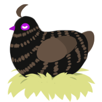 Ebony Raven Way, a black and bark chicken with a bar pattern