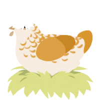 Butterscotch Puddin, a cream and orange chicken with a half-lace pattern