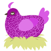 A plum and orchid chicken with a double-lace pattern