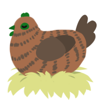 Mossy, a brown and bark chicken with a bar pattern