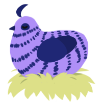 Computer Blue, a lilac and navy chicken with a bar pattern