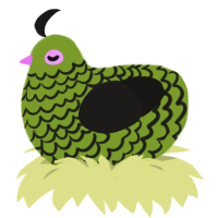 A chartreuse and sable chicken with a lace pattern
