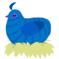 Blueberry, a sapphire and ultramarine chicken with a bar pattern