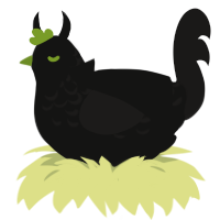 Faultline, a black and sable chicken with a half-lace pattern