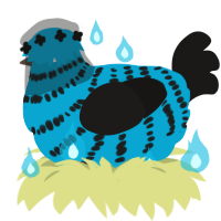 A cerulean and sable chicken with a bar pattern